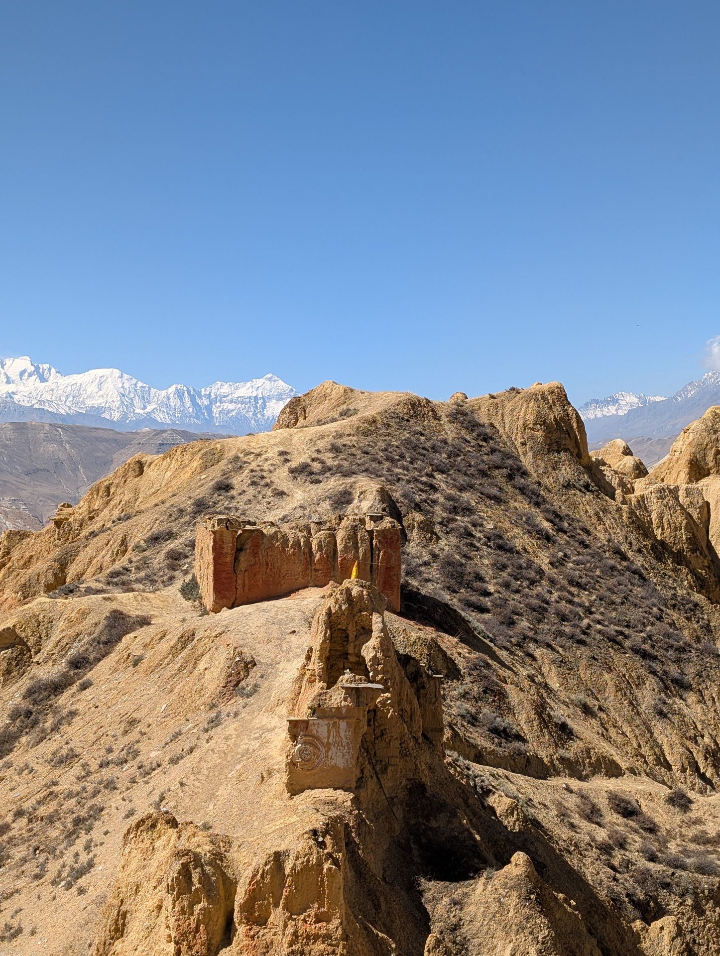 Mustang Trekking